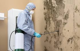 Best Residential Mold Inspection & Testing in USA